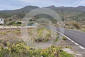 Single carriage road passing through the rural areas surrounded by fincas, agricultural fields and vineyards in Tenerife photo