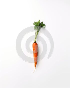A single carrot on a white surface. AI generative image.