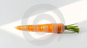 Single Carrot on White Surface