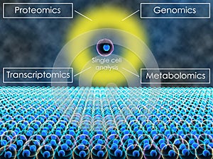 Single cell analysis