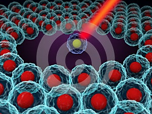Single cell analysis