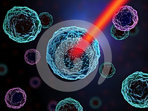 Single cell analysis