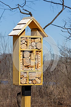 Single Chamber Bee House in a Forest
