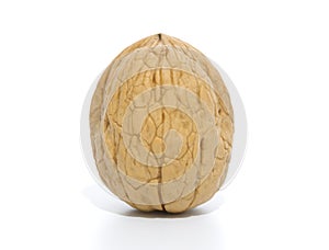 Single chandler walnut, isolated on white background photo
