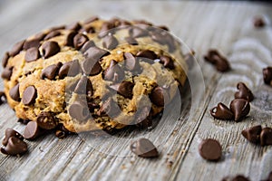 Single chocolate chip cookie with chips around it