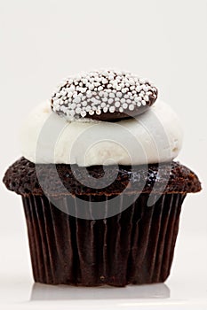 Single Chocolate Cupcake