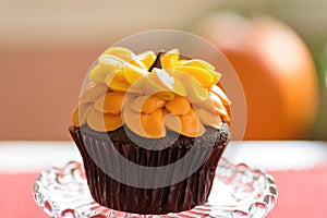 Single chocolate sunflower cupcake macro