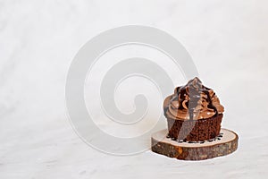 Single chocolate expresso cupcake on wooden plate on white background. Horizontal photo.