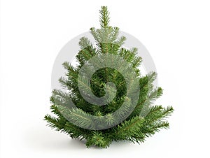 Single Christmas tree decoration isolate on white background