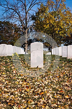 Single Closeup Gravestone Texture Surface Arlington National Cemetery Washington DC USA