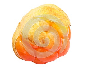 Cloudberry rubus chamaemorus, paths