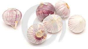 Single clove garlic