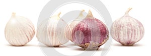 Single clove garlic