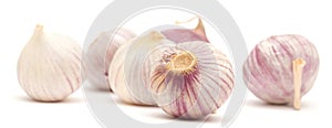Single clove garlic