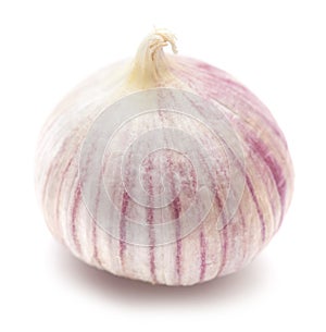 Single clove garlic