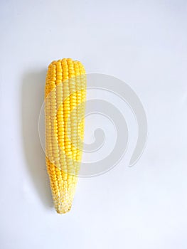 single cobfresh sweet corn isolated with white background
