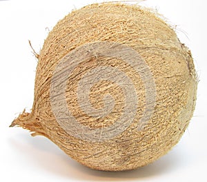 Single coconut