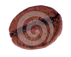 Single coffee bean isolated on white