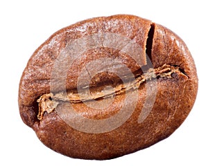 Single coffee bean on white