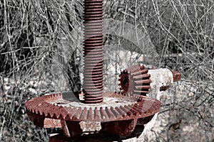 Single color photo of a rusty gear from an old water valve.