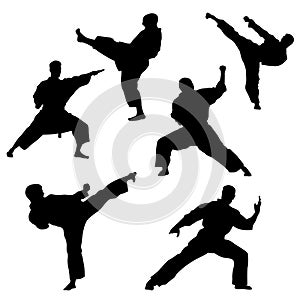 Single combats, a set of silhouettes of a karate in different poses