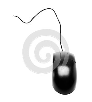 Single computer mouse