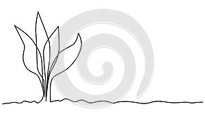 Single continuous line art growing sprout. Plant leaves seed grow soil seedling eco natural farm concept design