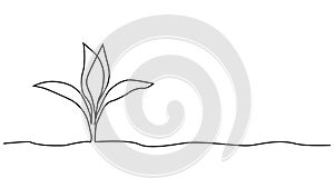 Single continuous line art growing sprout. Plant leaves seed grow soil seedling eco natural farm concept design