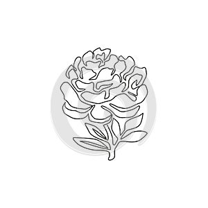 Single continuous line drawing of beauty fresh paeony for garden logo. Printable decorative peony flower concept for home decor photo
