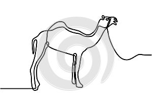 Single continuous line drawing of desert Arabic camel for logo identity. Cute dromedary animal concept for national zoo icon. One