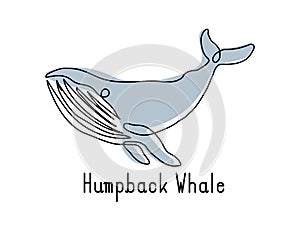 Single continuous line drawing of humpback whale for marine company logo identity