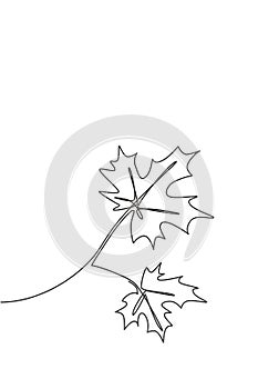 Single continuous line drawing spring maple leaf. Botany style concept for posters, wall art, tote bag, mobile case, t-shir,