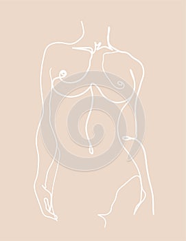 Single continuous one line art. Modern continuous line art woman body, minimalist contour. photo