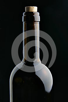 Single corked bottle photo