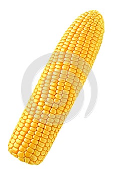 Jediný kukuřice 