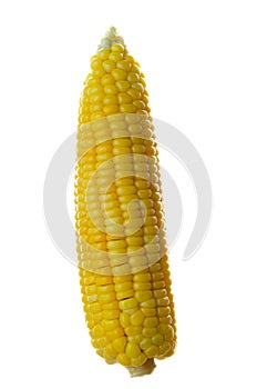 Single of corn isolated on white background as package design element ,with clipping path