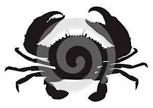 Single crab silhouette.