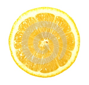 Single cross section of lemon