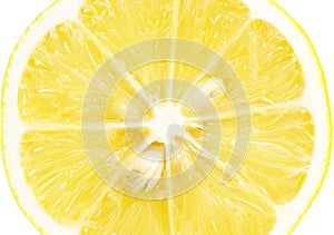 Single cross section of lemon