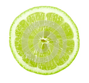 Single cross section of lime