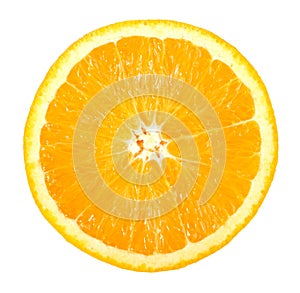 Single cross section of orange