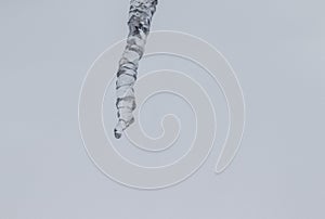 Single crystal icicle. Frost winter concept. Frozen water, melting - winter time background