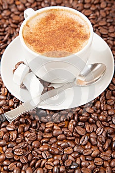 Single cup of cappuccino surrounded by coffee beans