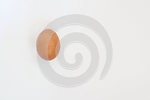 Single dark hen`s egg isolated on white background with copy space
