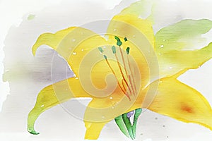 A single, delicate lily, with petals unfurling to reveal a bright yellow center, ai illustration