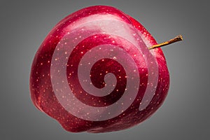 Single delicious red apple on grey background