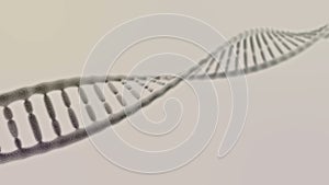 Single DNA chain rotation on the light background