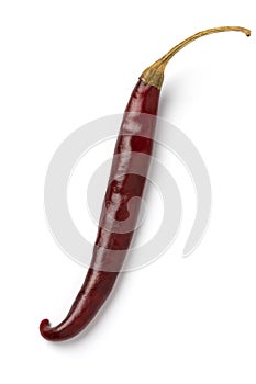 Single dried raw Mexican chile de Arbol pepper on white background close up photo