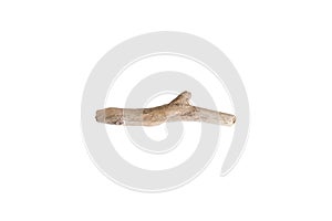 Single dry tree branch. Boho image of stick isolated on white background
