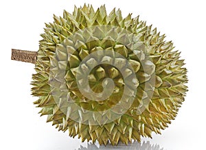 Single Durian fruit isolated on white background